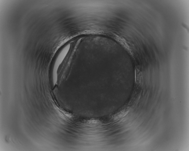 X0000097950204200804141012
