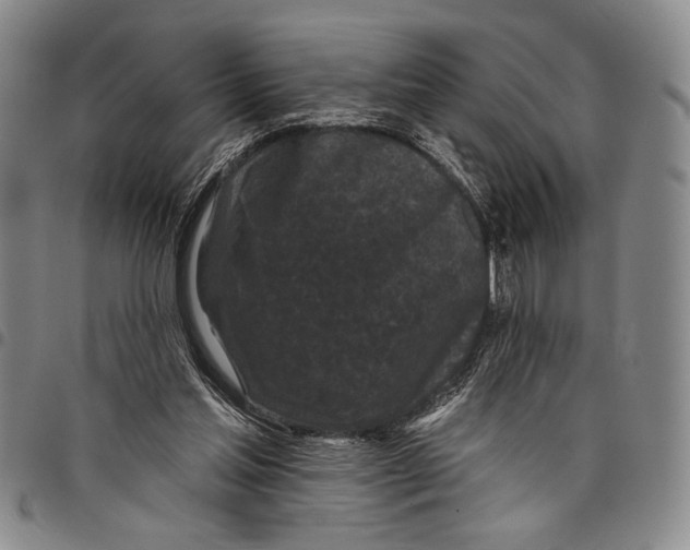 X0000097950205200804141012