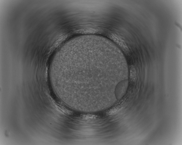 X0000097950206200804141012