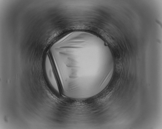 X0000097950207200804141012