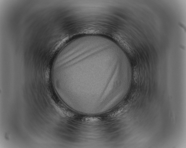 X0000097950208200804141012
