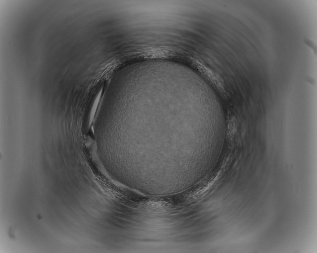 X0000097950209200804141012