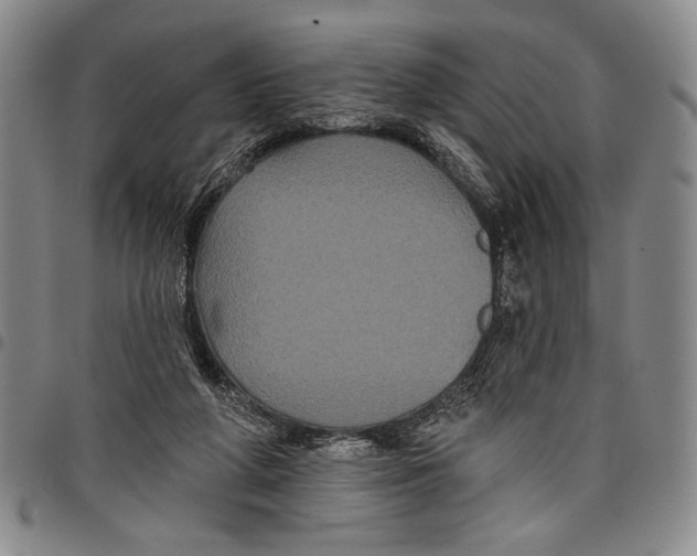 X0000097950210200804141012
