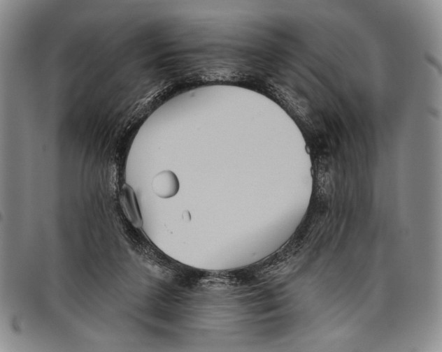 X0000097950211200804141012
