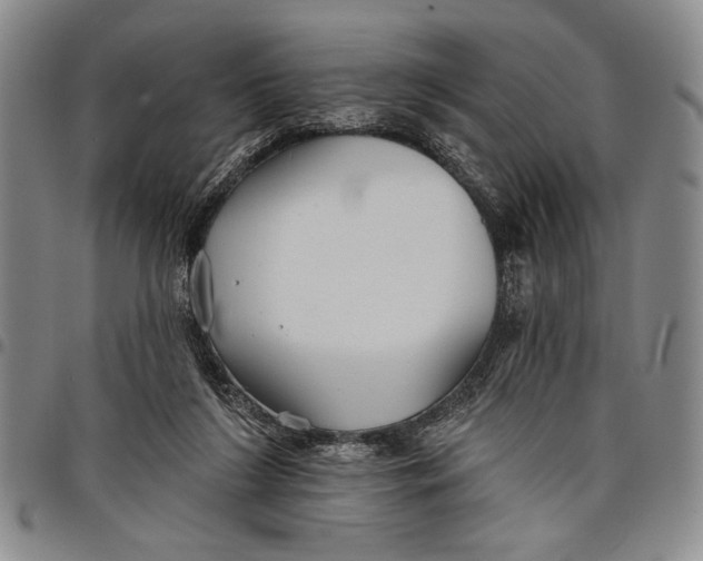 X0000097950212200804141012