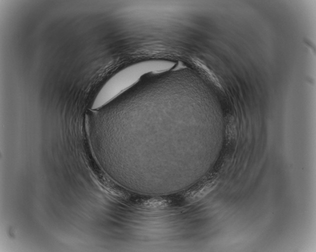 X0000097950213200804141012