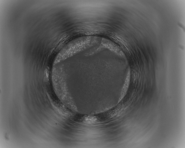 X0000097950214200804141012