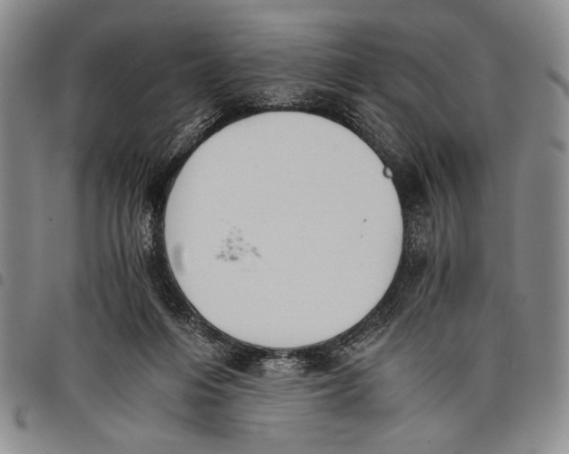 X0000097950216200804141012