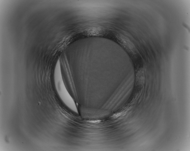 X0000097950217200804141011