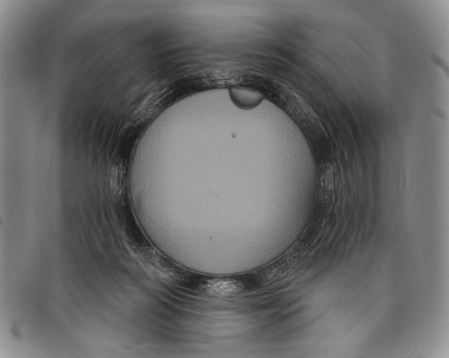 X0000097950218200804141011