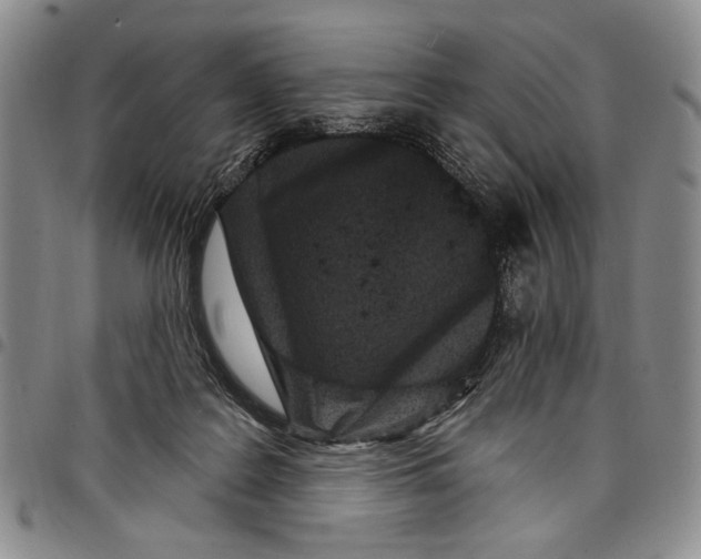 X0000097950219200804141011