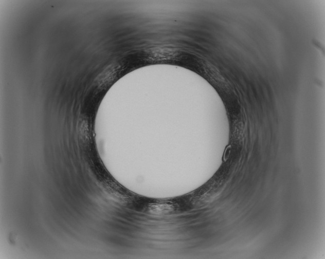 X0000097950220200804141011