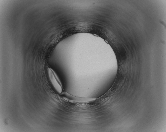 X0000097950221200804141011