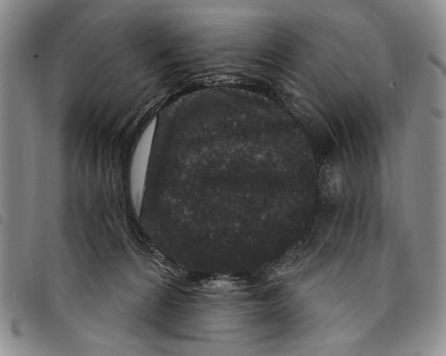X0000097950224200804141011