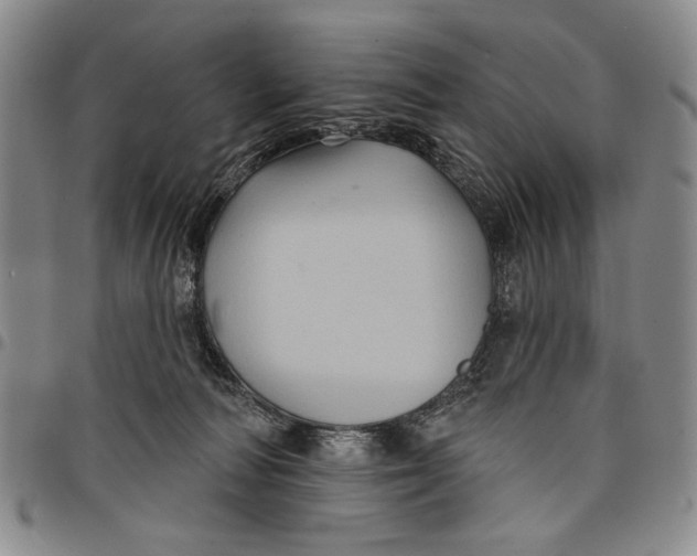 X0000097950226200804141011