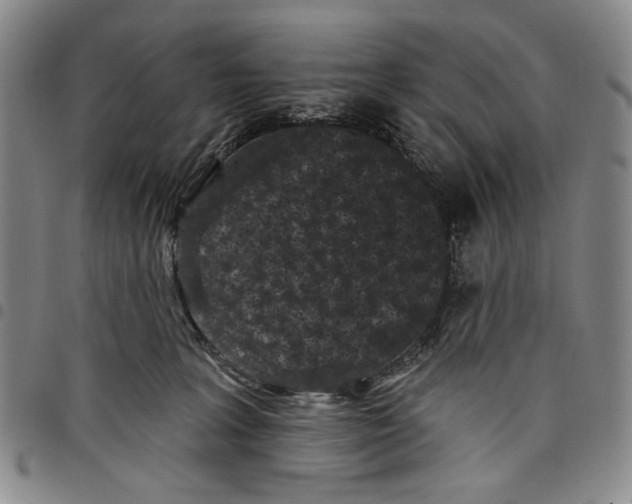 X0000097950227200804141011