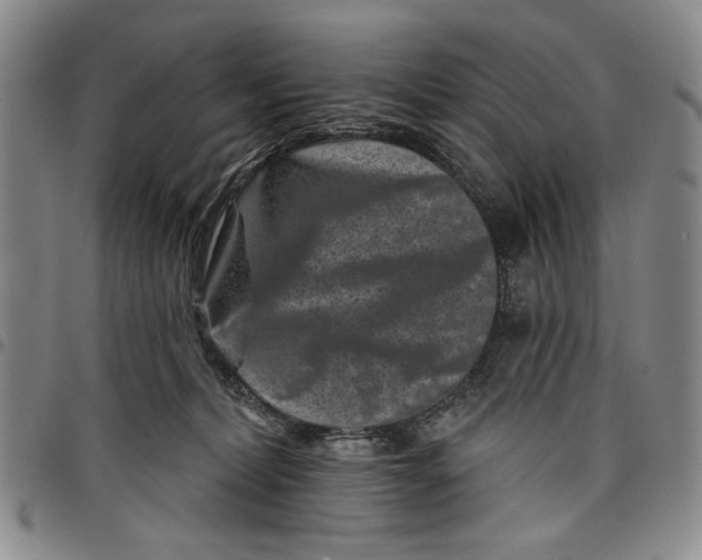 X0000097950228200804141011