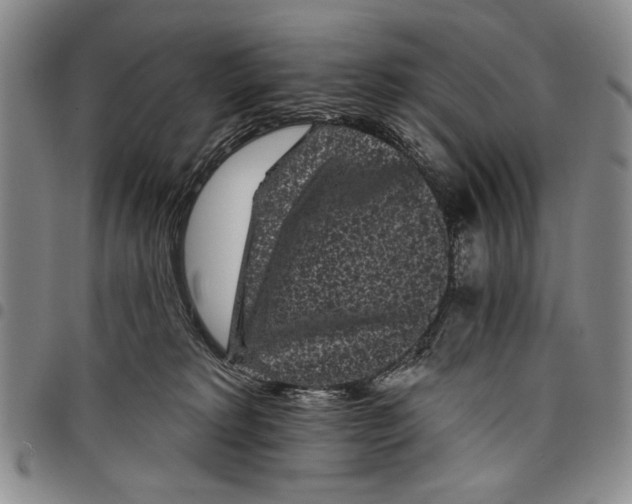 X0000097950229200804141011
