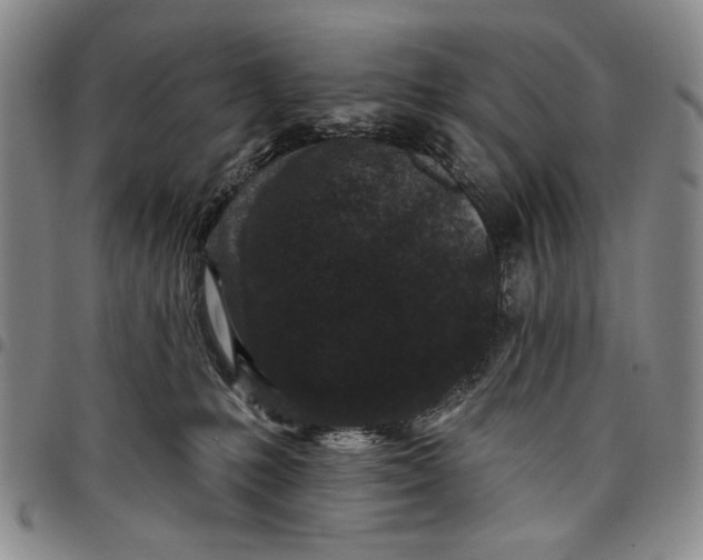 X0000097950231200804141011