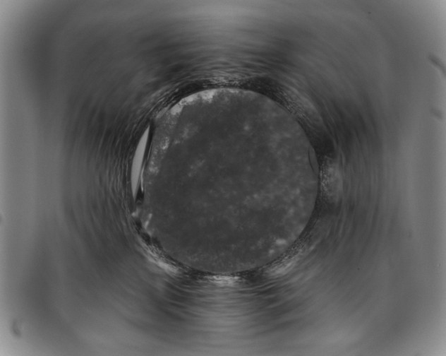X0000097950233200804141011