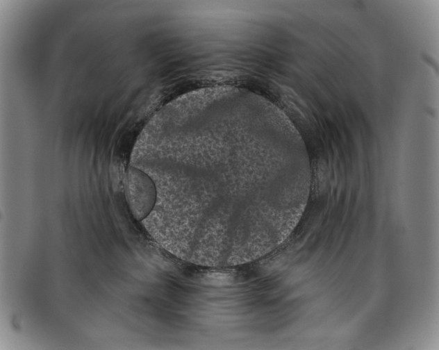 X0000097950236200804141011