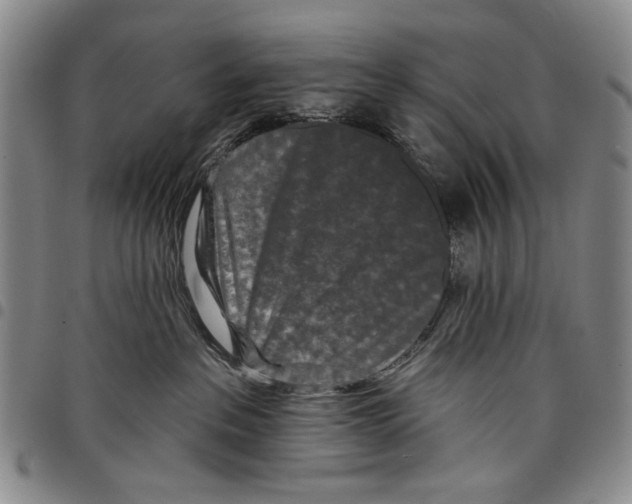 X0000097950237200804141011