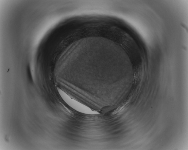 X0000097950239200804141011