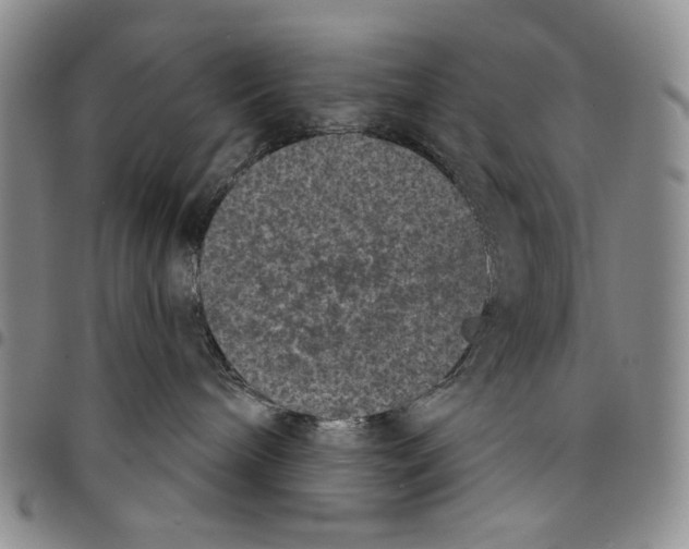 X0000097950240200804141011