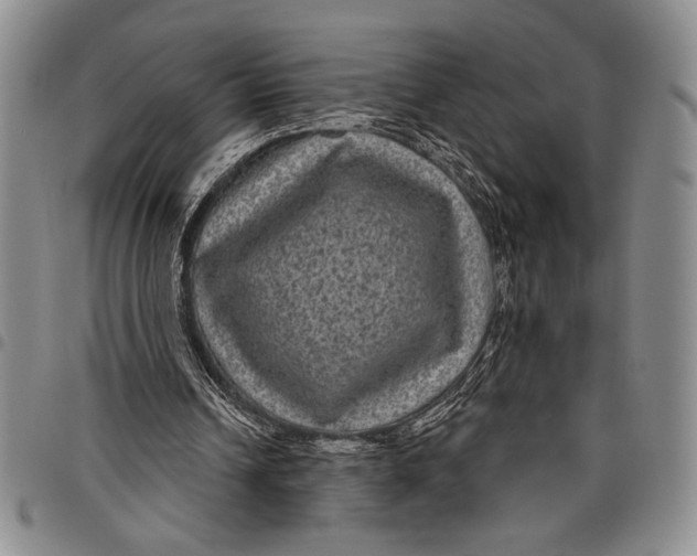 X0000097950242200804141011