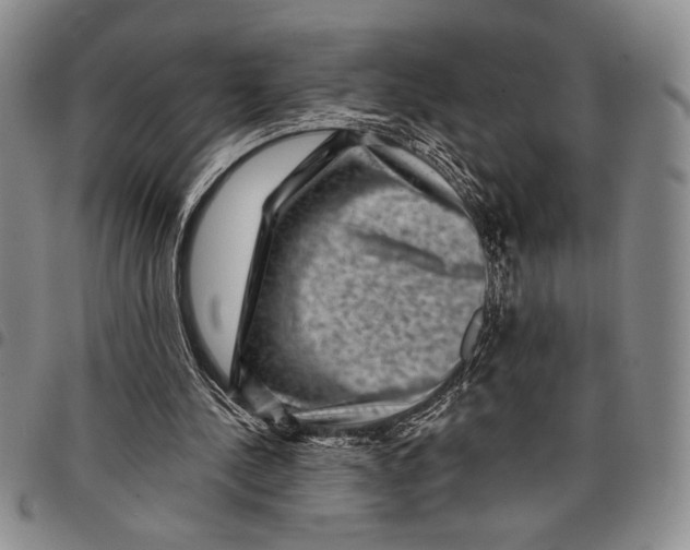 X0000097950244200804141011