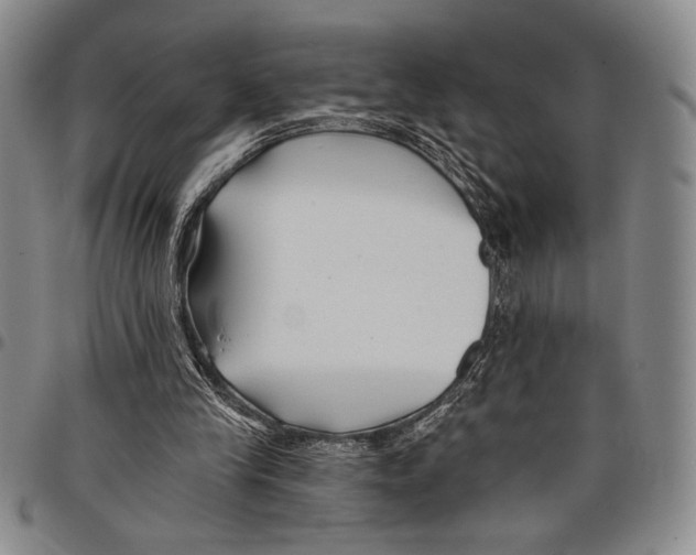 X0000097950245200804141011