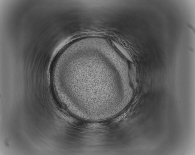 X0000097950246200804141011