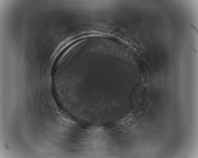 X0000097950247200804141011