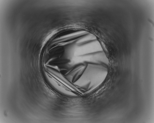 X0000097950248200804141011