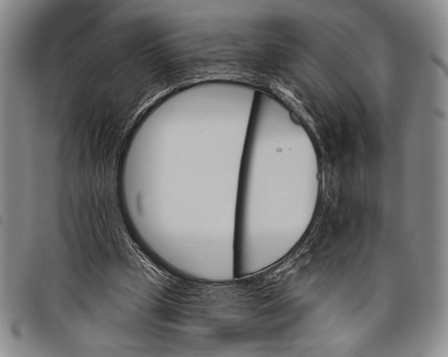 X0000097950249200804141011