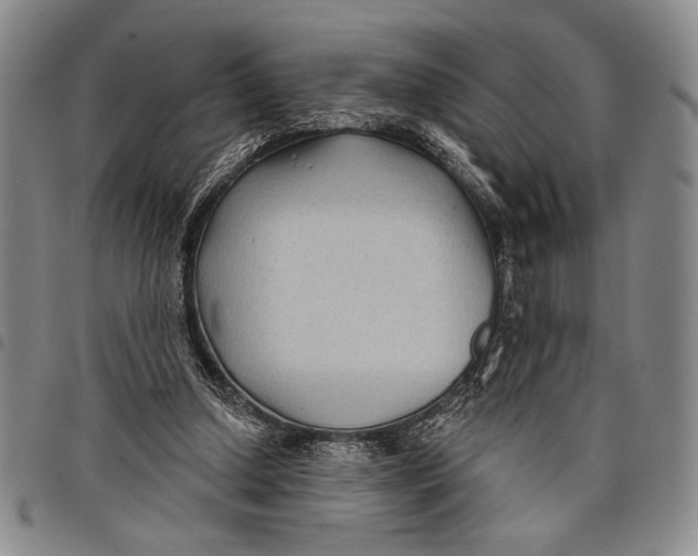 X0000097950250200804141011