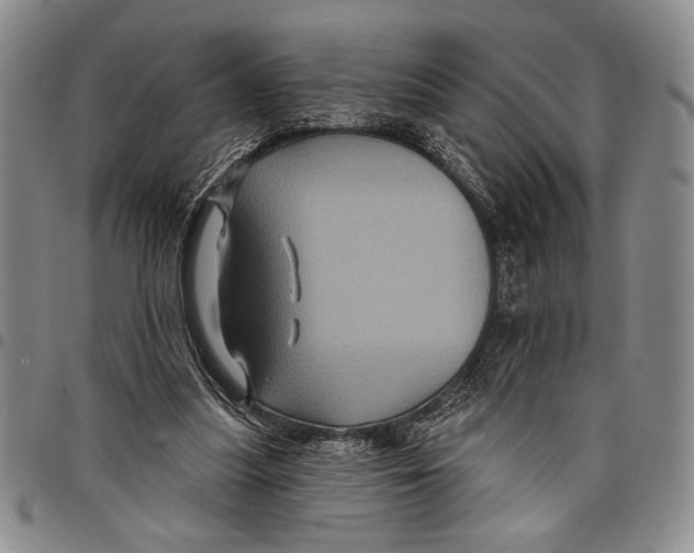 X0000097950251200804141011