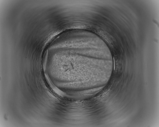 X0000097950252200804141011