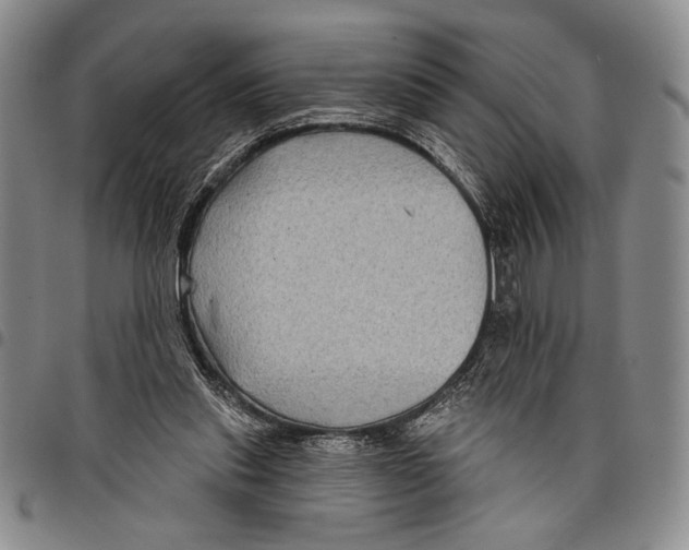 X0000097950253200804141011