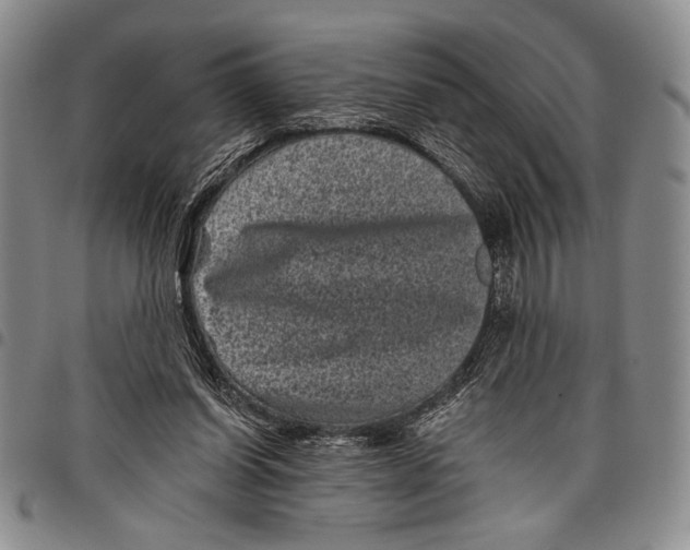 X0000097950254200804141011