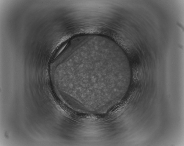 X0000097950256200804141011