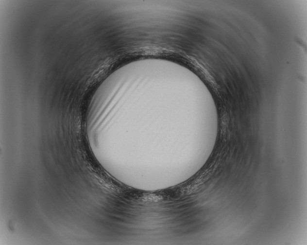 X0000097950257200804141011