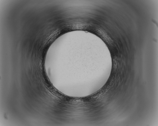 X0000097950258200804141011