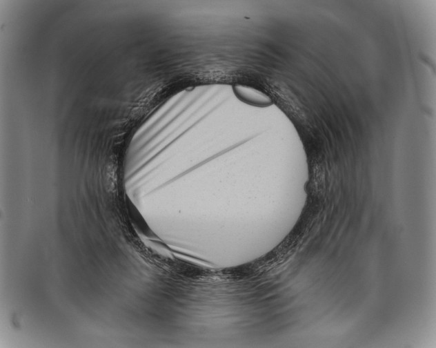 X0000097950259200804141011