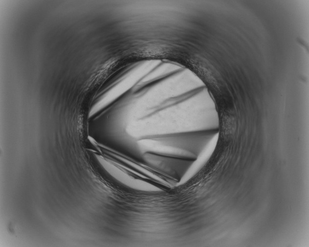 X0000097950260200804141011