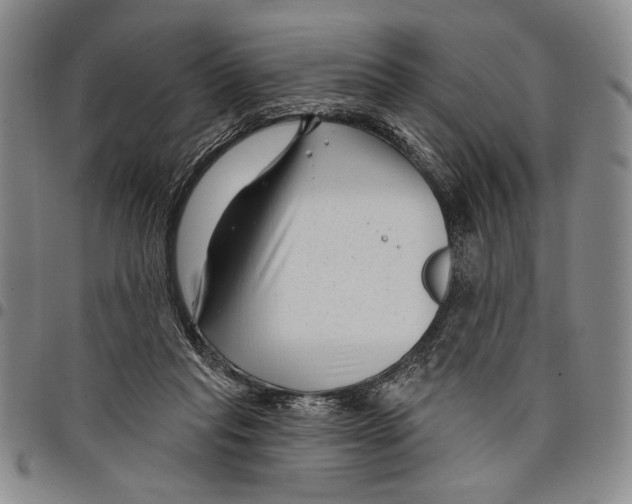 X0000097950261200804141011