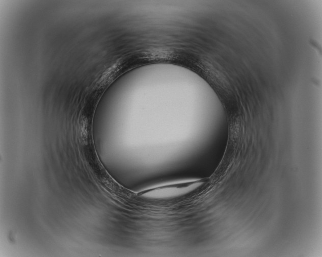 X0000097950264200804141011