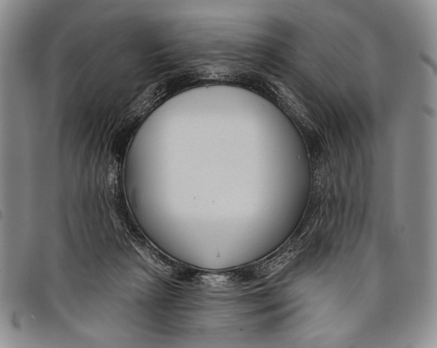 X0000097950265200804141011