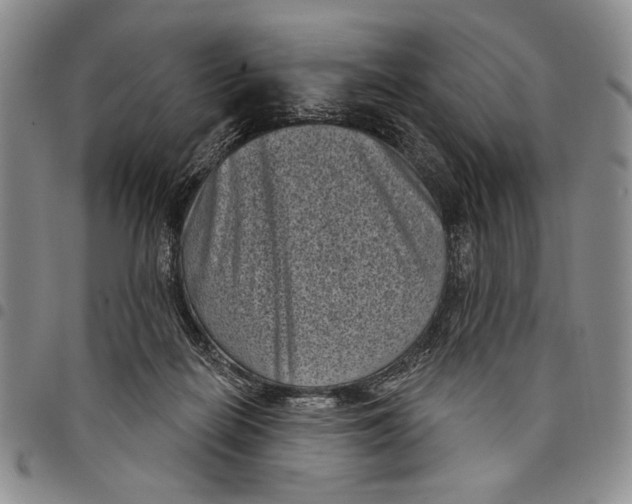 X0000097950266200804141011