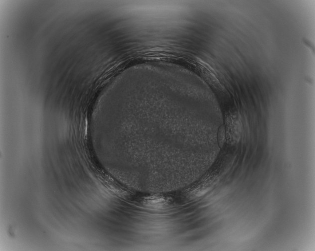 X0000097950267200804141011